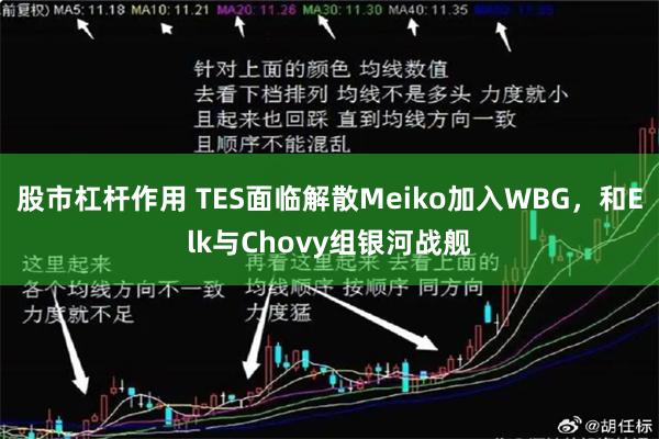 股市杠杆作用 TES面临解散Meiko加入WBG，和Elk与Chovy组银河战舰