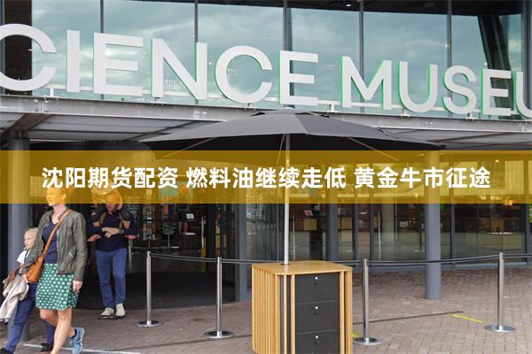沈阳期货配资 燃料油继续走低 黄金牛市征途