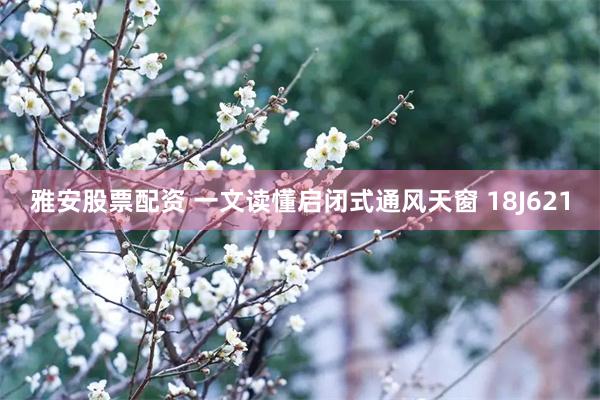 雅安股票配资 一文读懂启闭式通风天窗 18J621