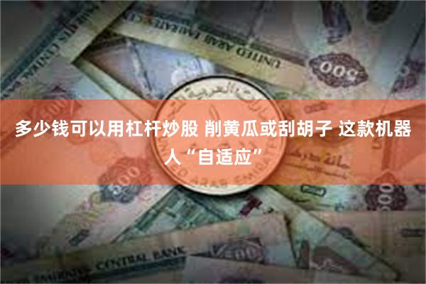 多少钱可以用杠杆炒股 削黄瓜或刮胡子 这款机器人“自适应”