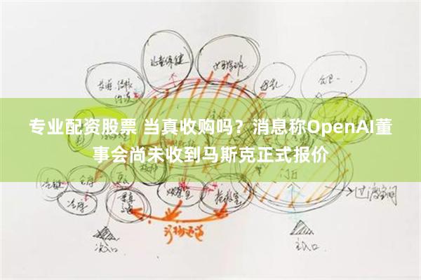 专业配资股票 当真收购吗？消息称OpenAI董事会尚未收到马斯克正式报价