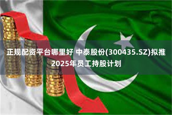 正规配资平台哪里好 中泰股份(300435.SZ)拟推2025年员工持股计划