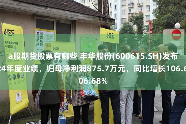 a股期货股票有哪些 丰华股份(600615.SH)发布2024年度业绩，归母净利润875.7万元，同比增长106.68%