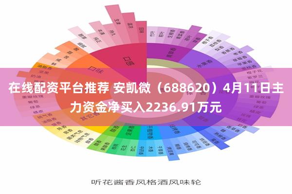 在线配资平台推荐 安凯微（688620）4月11日主力资金净买入2236.91万元