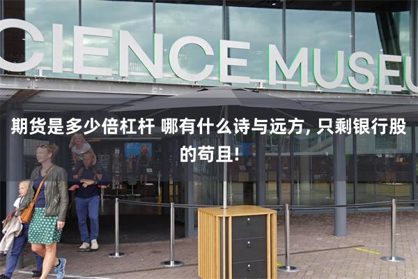 期货是多少倍杠杆 哪有什么诗与远方, 只剩银行股的苟且!