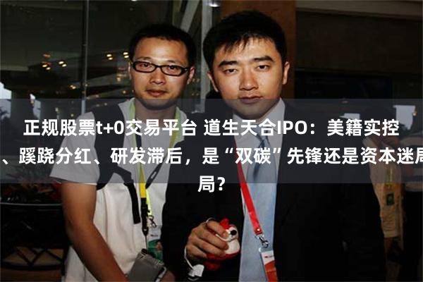正规股票t+0交易平台 道生天合IPO：美籍实控人、蹊跷分红、研发滞后，是“双碳”先锋还是资本迷局？