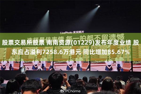 股票交易所股票 南南资源(01229)发布年度业绩 股东应占溢利7258.6万港元 同比增加85.67%