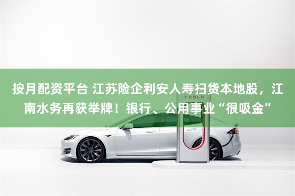 按月配资平台 江苏险企利安人寿扫货本地股，江南水务再获举牌！银行、公用事业“很吸金”